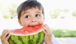 一个免费吃瓜网站是什么,揭秘网络世界的免费娱乐盛宴